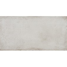 Плитка 31*60 Delfos Vison Efn110